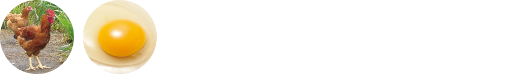 卵黄