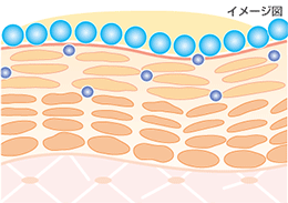 イメージ図
