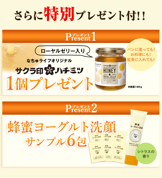 さらに今なら特別プレゼント付!!