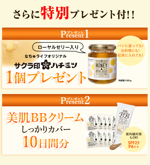 さらに今なら特別プレゼント付!!