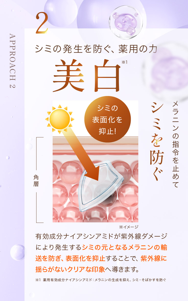 2 シミの発生を防ぐ、薬用の力　美白