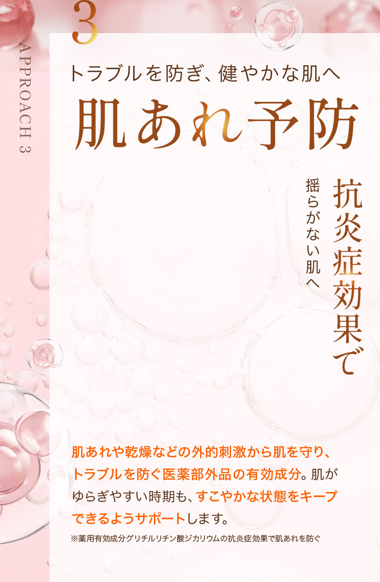 3 トラブルを防ぎ、健やかな肌へ　肌荒れ予防