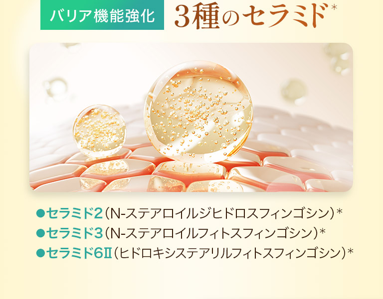 バリア機能強化　3種のセラミド