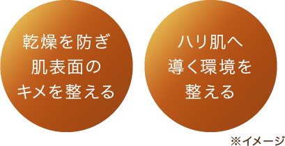 乾燥を防ぎ肌表面のキメを整える ハリ肌へ導く環境を整える