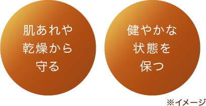 肌あれや乾燥から守る 健やかな状態を保つ