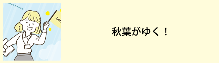 秋葉がゆく！